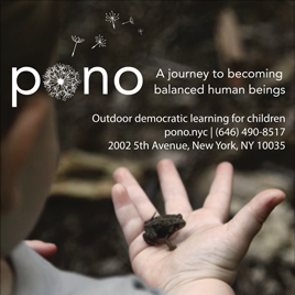 Pono NYC - A journey to becoming balanced human beings